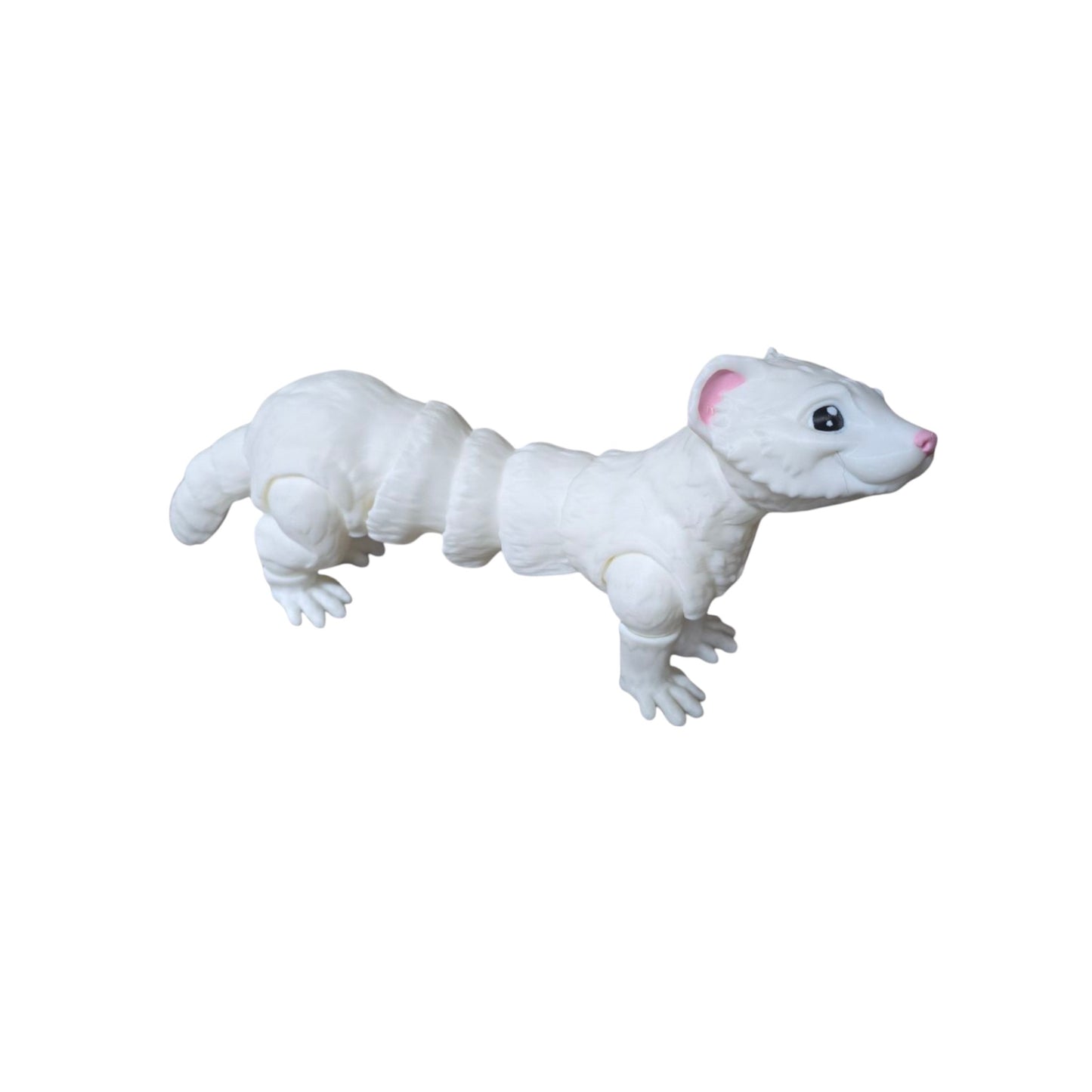 Ferret – Adorably Flexible & Full of Fun!