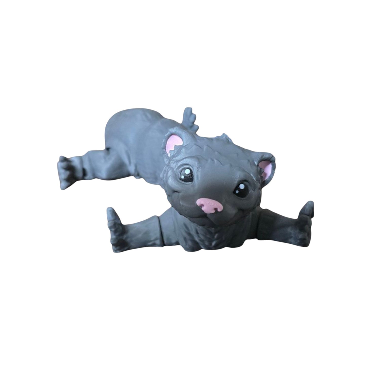 Ferret – Adorably Flexible & Full of Fun!