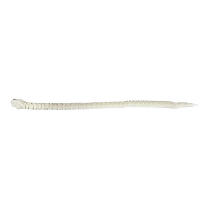 Top-down view of white 3D printed articulated snake – long flexible 3D printing toy with realistic reptile eye